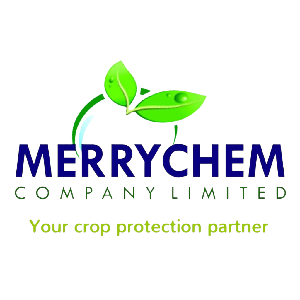 Merrychem Logo