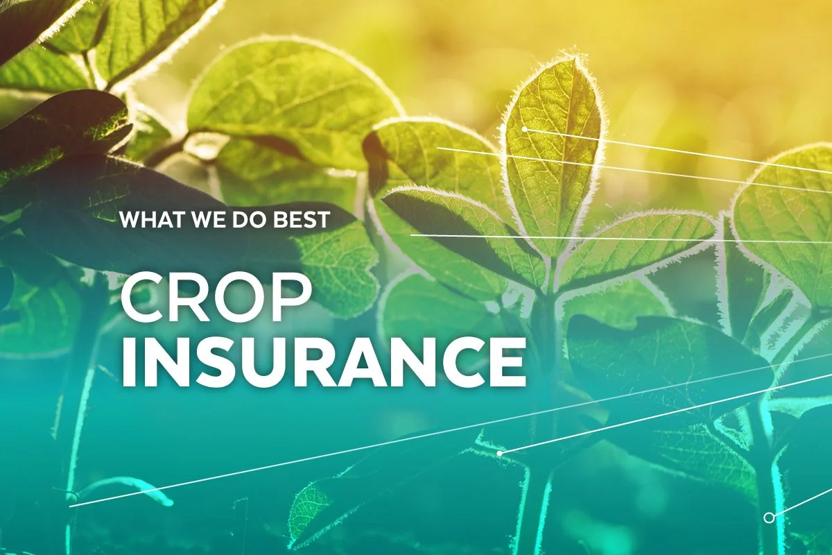 Agri insurance