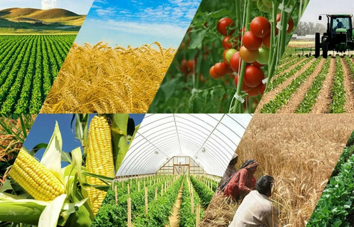 Crop services