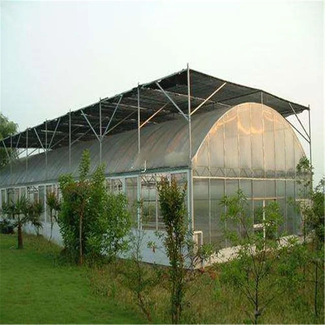 Greenhouse
